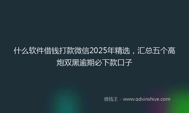 什么软件借钱打款微信2025年精选，汇总五个高炮双黑逾期必下款口子