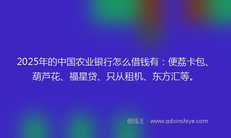 2025年的中国农业银行怎么借钱有：便荔卡包、葫芦花、福星贷、只从租机、东方汇等。