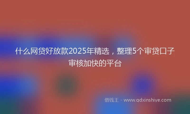 什么网贷好放款2025年精选，整理5个审贷口子审核加快的平台