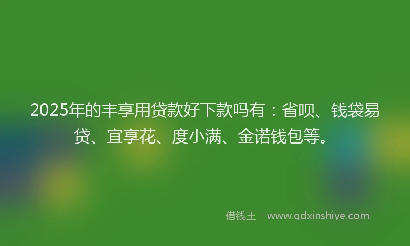 2025年的丰享用贷款好下款吗有：省呗、钱袋易贷、宜享花、度小满、金诺钱包等。