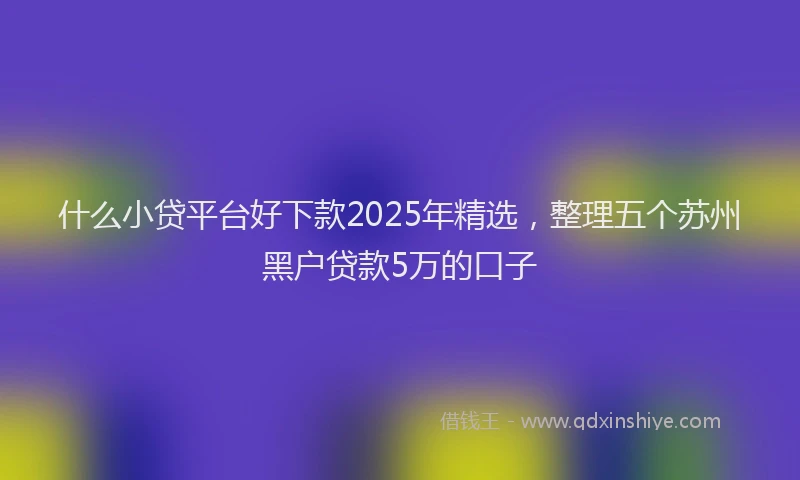 什么小贷平台好下款2025年精选，整理五个苏州黑户贷款5万的口子