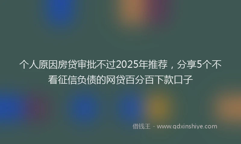 个人原因房贷审批不过2025年推荐，分享5个不看征信负债的网贷百分百下款口子