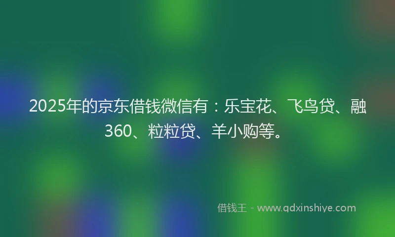2025年的京东借钱微信有：乐宝花、飞鸟贷、融360、粒粒贷、羊小购等。