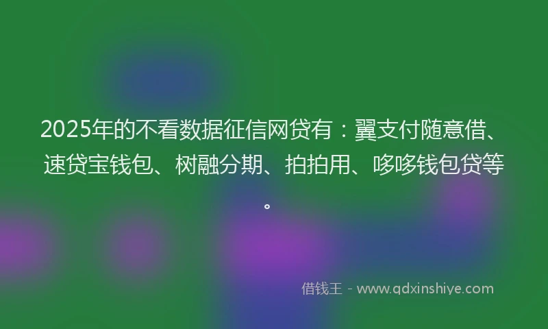 2025年的不看数据征信网贷有：翼支付随意借、速贷宝钱包、树融分期、拍拍用、哆哆钱包贷等。