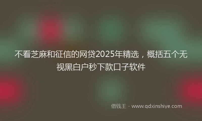 不看芝麻和征信的网贷2025年精选，概括五个无视黑白户秒下款口子软件