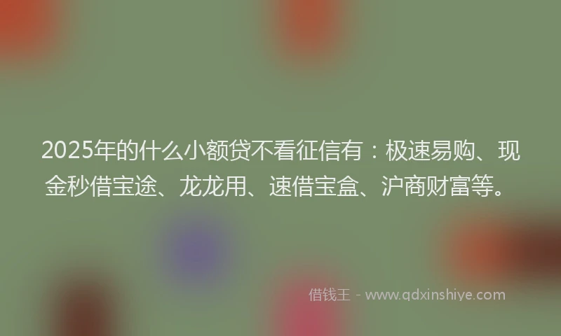 2025年的什么小额贷不看征信有：极速易购、现金秒借宝途、龙龙用、速借宝盒、沪商财富等。