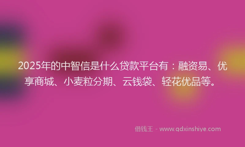 2025年的中智信是什么贷款平台有：融资易、优享商城、小麦粒分期、云钱袋、轻花优品等。