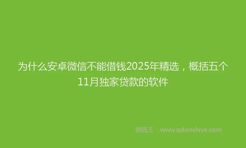 为什么安卓微信不能借钱2025年精选，概括五个11月独家贷款的软件