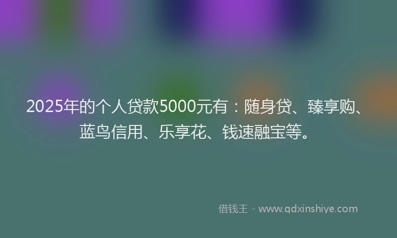 2025年的个人贷款5000元有：随身贷、臻享购、蓝鸟信用、乐享花、钱速融宝等。
