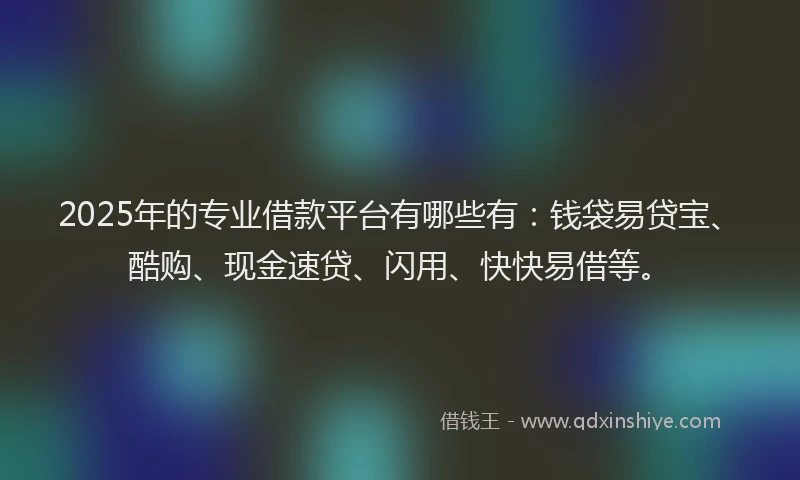 2025年的专业借款平台有哪些有：钱袋易贷宝、酷购、现金速贷、闪用、快快易借等。