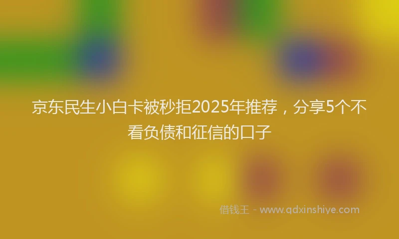 京东民生小白卡被秒拒2025年推荐，分享5个不看负债和征信的口子