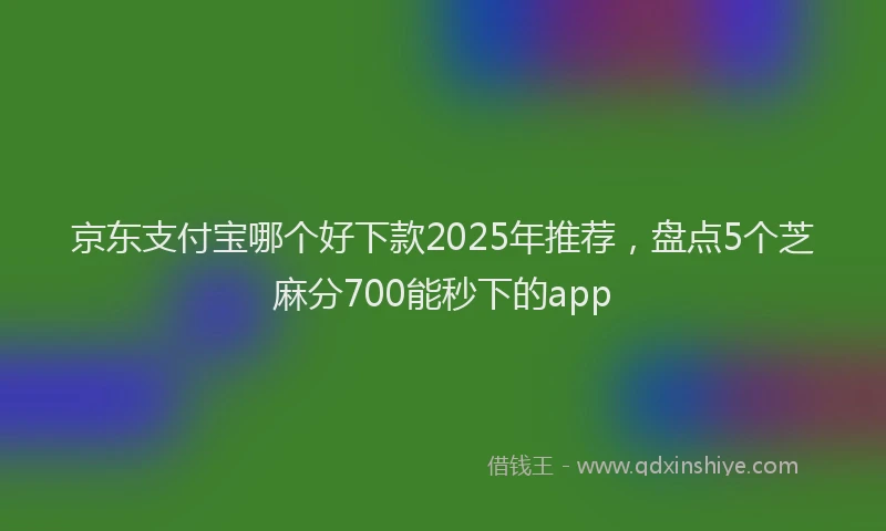 京东支付宝哪个好下款2025年推荐，盘点5个芝麻分700能秒下的app
