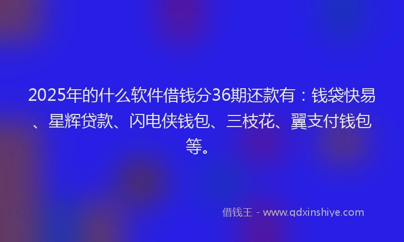 2025年的什么软件借钱分36期还款有：钱袋快易、星辉贷款、闪电侠钱包、三枝花、翼支付钱包等。