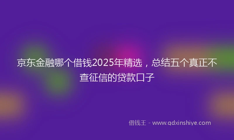 京东金融哪个借钱2025年精选，总结五个真正不查征信的贷款口子
