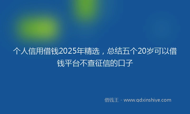 个人信用借钱2025年精选，总结五个20岁可以借钱平台不查征信的口子