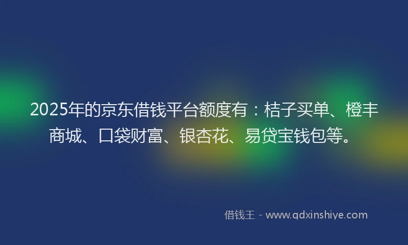 2025年的京东借钱平台额度有：桔子买单、橙丰商城、口袋财富、银杏花、易贷宝钱包等。