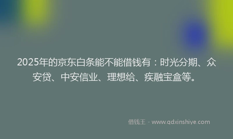 2025年的京东白条能不能借钱有：时光分期、众安贷、中安信业、理想给、疾融宝盒等。