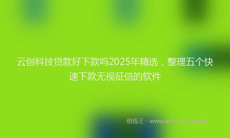 云创科技贷款好下款吗2025年精选，整理五个快速下款无视征信的软件