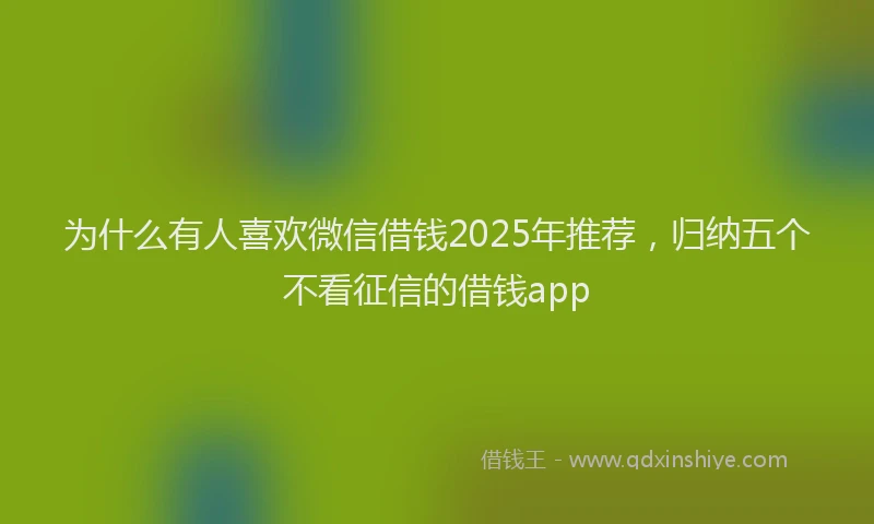 为什么有人喜欢微信借钱2025年推荐，归纳五个不看征信的借钱app