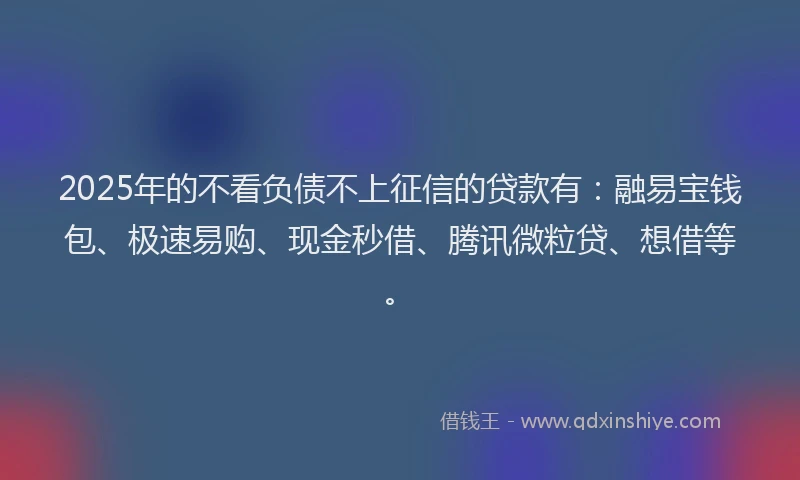 2025年的不看负债不上征信的贷款有：融易宝钱包、极速易购、现金秒借、腾讯微粒贷、想借等。
