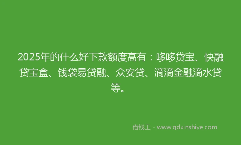 2025年的什么好下款额度高有：哆哆贷宝、快融贷宝盒、钱袋易贷融、众安贷、滴滴金融滴水贷等。