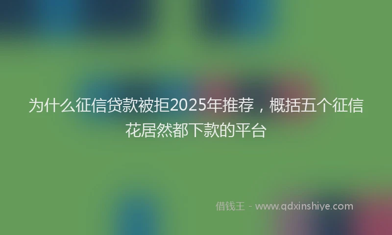 为什么征信贷款被拒2025年推荐，概括五个征信花居然都下款的平台