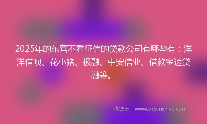 2025年的东营不看征信的贷款公司有哪些有：洋洋借呗、花小猪、极融、中安信业、借款宝速贷融等。