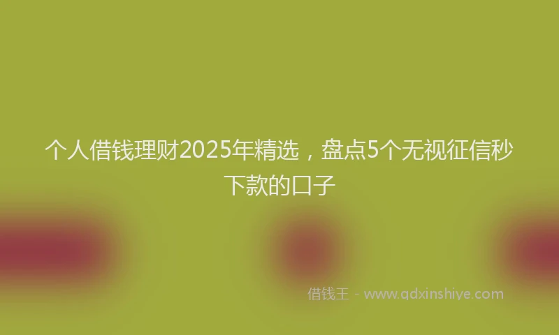 个人借钱理财2025年精选，盘点5个无视征信秒下款的口子