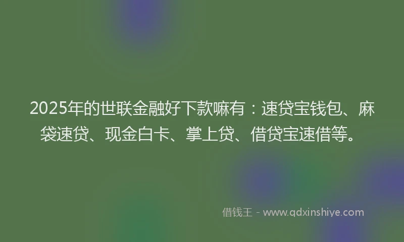 2025年的世联金融好下款嘛有：速贷宝钱包、麻袋速贷、现金白卡、掌上贷、借贷宝速借等。