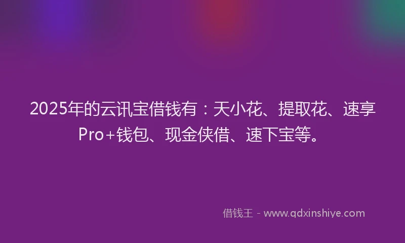 2025年的云讯宝借钱有：天小花、提取花、速享Pro+钱包、现金侠借、速下宝等。