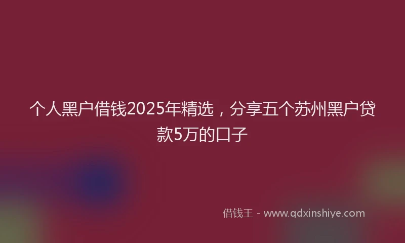 个人黑户借钱2025年精选，分享五个苏州黑户贷款5万的口子