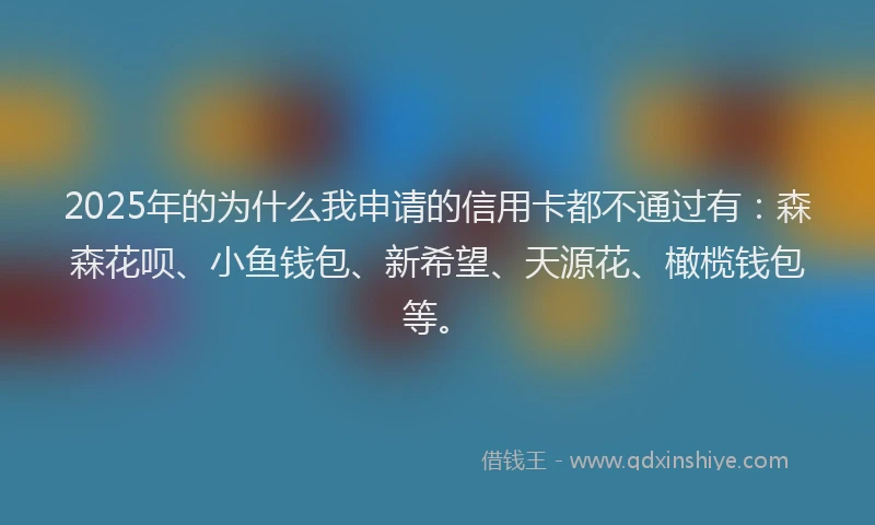 2025年的为什么我申请的信用卡都不通过有：森森花呗、小鱼钱包、新希望、天源花、橄榄钱包等。