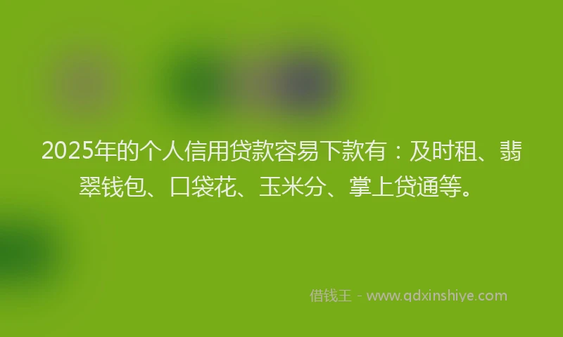 2025年的个人信用贷款容易下款有：及时租、翡翠钱包、口袋花、玉米分、掌上贷通等。