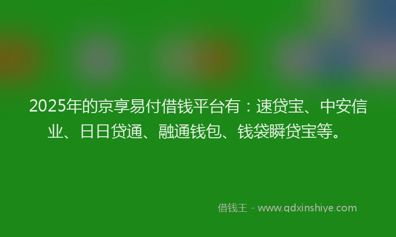 2025年的京享易付借钱平台有：速贷宝、中安信业、日日贷通、融通钱包、钱袋瞬贷宝等。