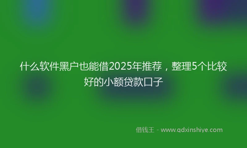 什么软件黑户也能借2025年推荐，整理5个比较好的小额贷款口子