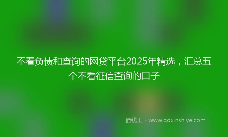 不看负债和查询的网贷平台2025年精选，汇总五个不看征信查询的口子
