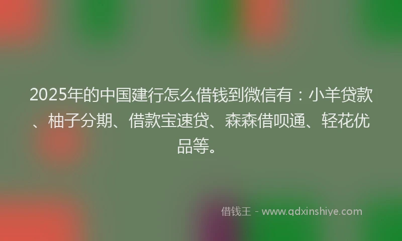 2025年的中国建行怎么借钱到微信有：小羊贷款、柚子分期、借款宝速贷、森森借呗通、轻花优品等。