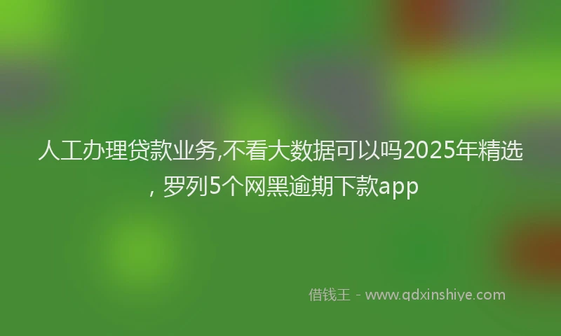 人工办理贷款业务,不看大数据可以吗2025年精选，罗列5个网黑逾期下款app