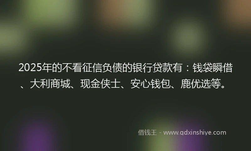 2025年的不看征信负债的银行贷款有：钱袋瞬借、大利商城、现金侠士、安心钱包、鹿优选等。