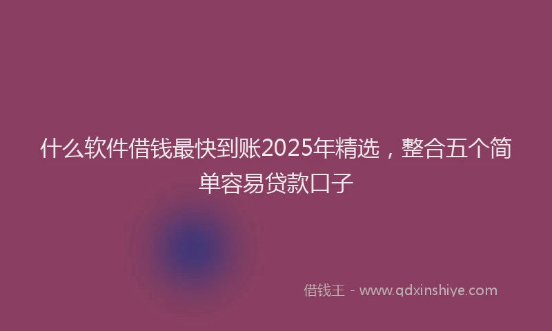 什么软件借钱最快到账2025年精选，整合五个简单容易贷款口子