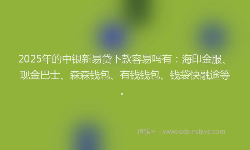2025年的中银新易贷下款容易吗有：海印金服、现金巴士、森森钱包、有钱钱包、钱袋快融途等。