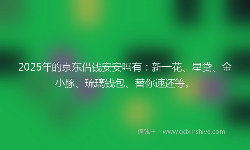 2025年的京东借钱安安吗有：新一花、星贷、金小豚、琉璃钱包、替你速还等。