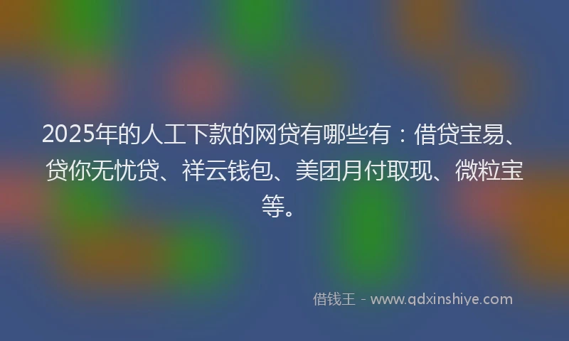 2025年的人工下款的网贷有哪些有：借贷宝易、贷你无忧贷、祥云钱包、美团月付取现、微粒宝等。