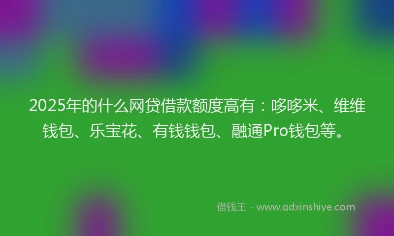 2025年的什么网贷借款额度高有：哆哆米、维维钱包、乐宝花、有钱钱包、融通Pro钱包等。