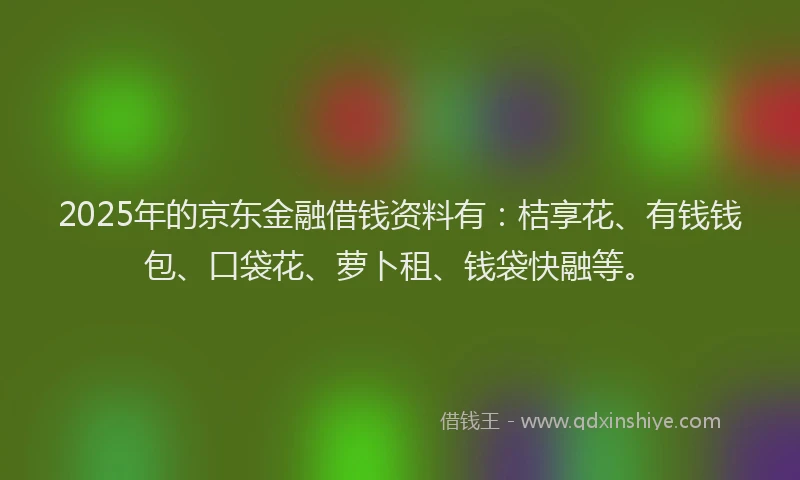 2025年的京东金融借钱资料有：桔享花、有钱钱包、口袋花、萝卜租、钱袋快融等。