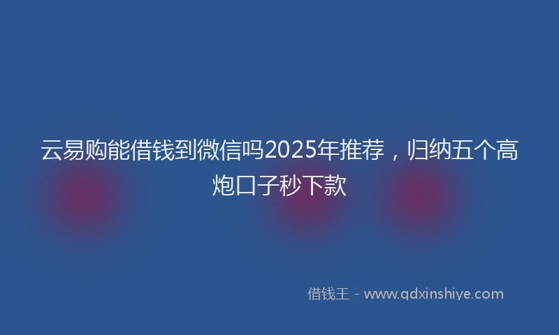 云易购能借钱到微信吗2025年推荐，归纳五个高炮口子秒下款