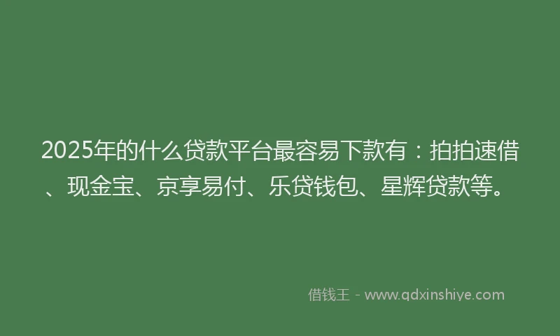 2025年的什么贷款平台最容易下款有：拍拍速借、现金宝、京享易付、乐贷钱包、星辉贷款等。