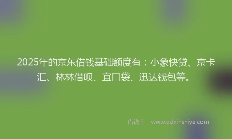 2025年的京东借钱基础额度有：小象快贷、京卡汇、林林借呗、宜口袋、迅达钱包等。