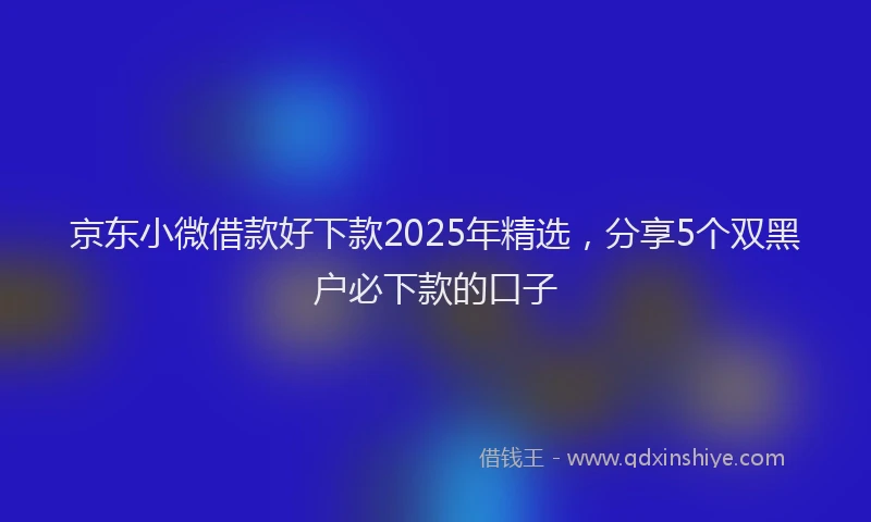京东小微借款好下款2025年精选，分享5个双黑户必下款的口子