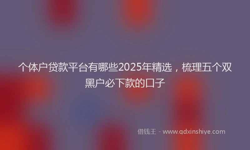 个体户贷款平台有哪些2025年精选，梳理五个双黑户必下款的口子